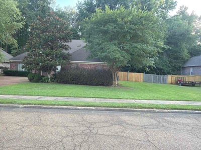 Lawn Care service in Brandon, 39042
