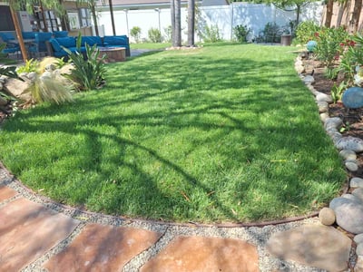 Lawn Care service in Thousand Oaks, 91362