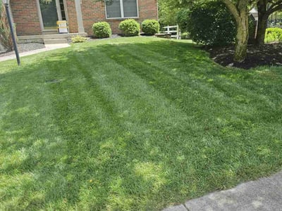 Lawn Care service in Westerville, 43081