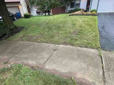 Lawn Care service in Westerville, 43081