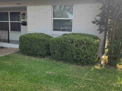 Lawn Care service in Norwalk, 06851