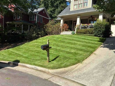 Lawn Care service in Visalia, 93291