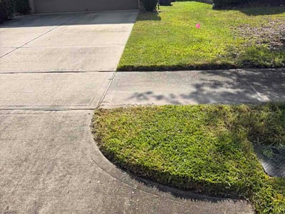 Lawn Care service in Norwalk, 06851