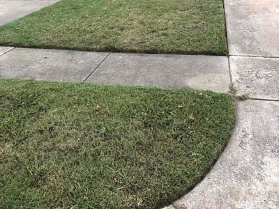 Lawn Care service in Wagoner, 74467
