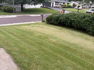 Lawn Care service in Barrington, 60010