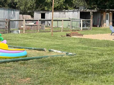 Lawn Care service in Billings, 59101