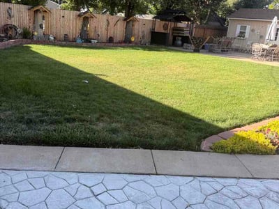 Lawn Care service in Peyton, 80831