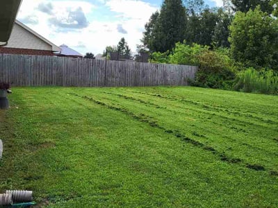 Lawn Care service in Athens, 35611