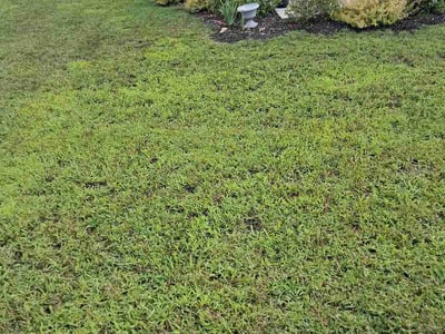 Lawn Care service in Oak Ridge, 37830