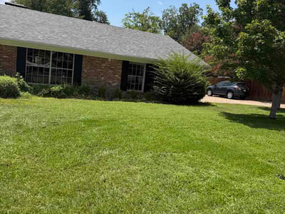 Lawn Care service in Tyler, 75702