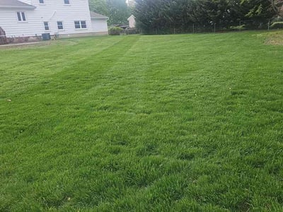 Lawn Care service in Trenton, 08608