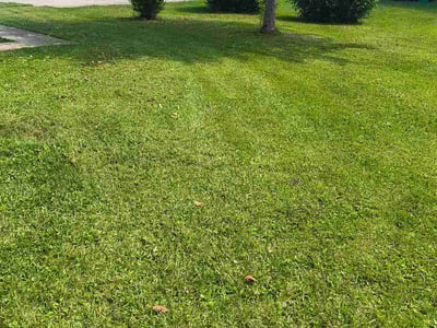 Lawn Care service in Hershey, 17033