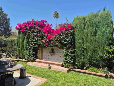 Lawn Care service in Laguna Beach, 92651