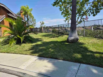 Lawn Care service in Mission Viejo, 92692