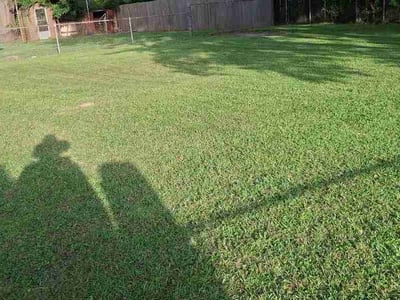 Lawn Care service in Ponchatoula, 70454