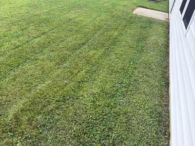Lawn Care service in Franklin, 46131