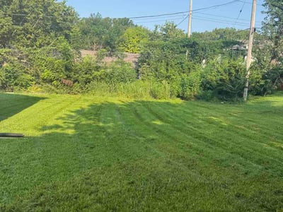 Lawn Care service in Overland Park, 66204