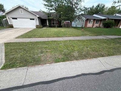 Lawn Care service in Franklin, 46131