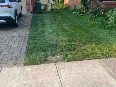 Lawn Care service in Springboro, 45066