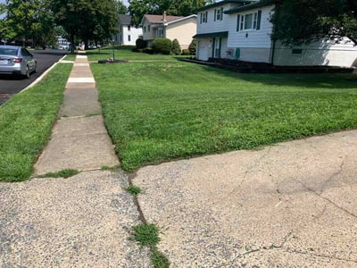 Lawn Care service in Enola, 17025
