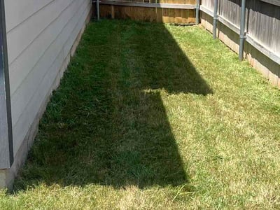Lawn Care service in Bell Gardens, 90201