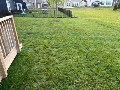 Lawn Care service in Westfield, 46074
