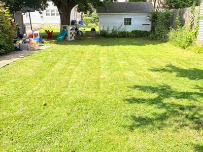 Lawn Care service in Torrington, 06790