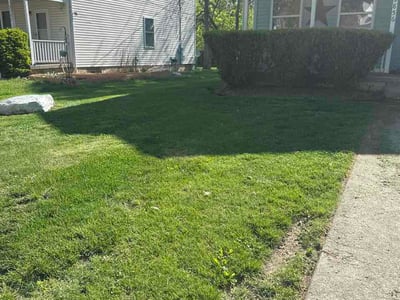 Lawn Care service in Orient, 43146