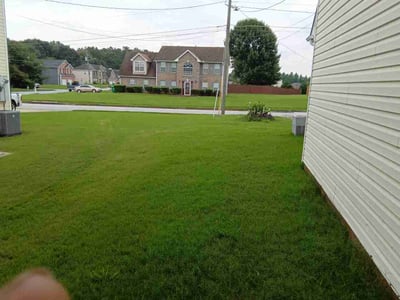 Lawn Care service in New Canaan, 06840