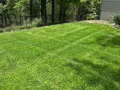 Lawn Care service in Lorain, 44052
