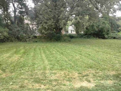 Lawn Care service in Shaker Heights, 44122
