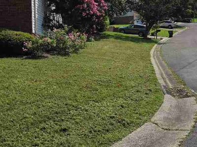 Lawn Care service in Coolidge, 85128