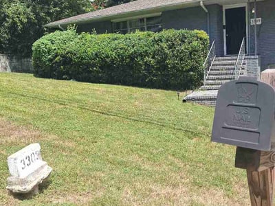 Lawn Care service in Tarzana, 91356