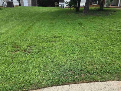 Lawn Care service in Ballantyne, 28277