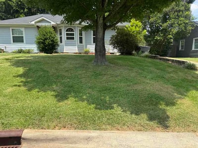 Lawn Care service in Ballantyne, 28277