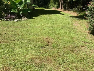 Lawn Care service in Shelton, 06484