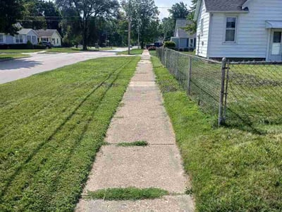 Lawn Care service in Maumee, 43537