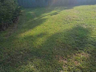 Lawn Care service in Taft, 93268