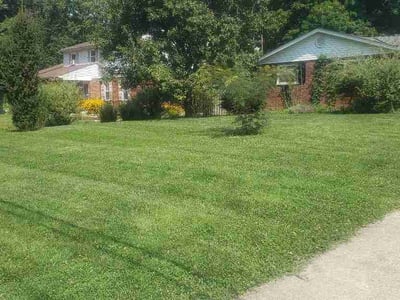 Lawn Care service in Trenton, 45067