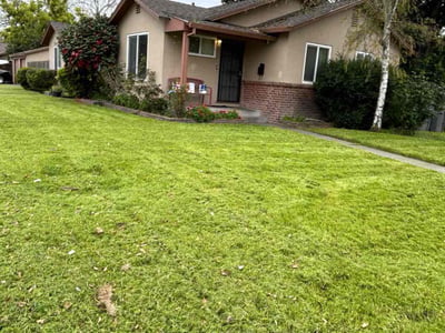 Lawn Care service in Granite Bay, 95746