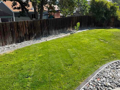 Lawn Care service in Thornton, 80229