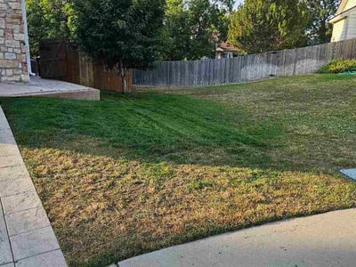 Lawn Care service in Thornton, 80229