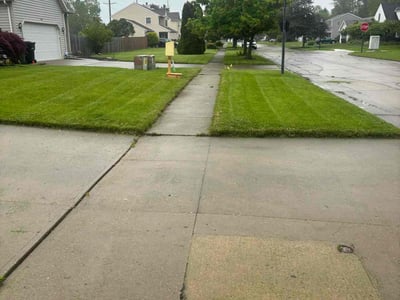 Lawn Care service in Elyria, 44035