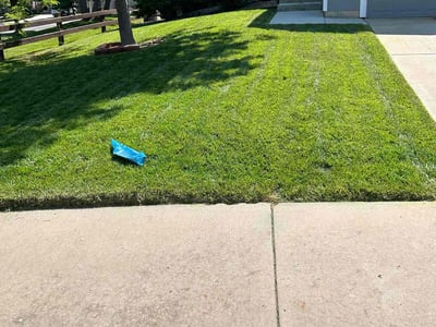 Lawn Care service in Lone Tree, 80124