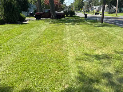 Lawn Care service in Holyoke, 01040