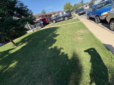 Lawn Care service in Lone Tree, 80124