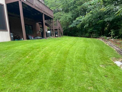 Lawn Care service in Homewood, 35209