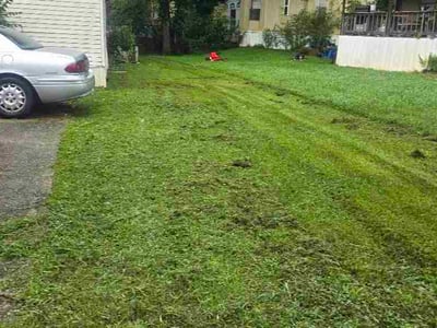 Lawn Care service in Trussville, 35173
