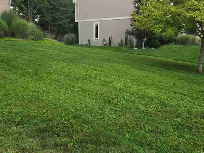 Lawn Care service in Powell, 43065