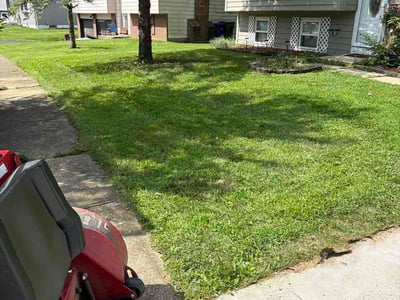 Lawn Care service in Galloway, 43119
